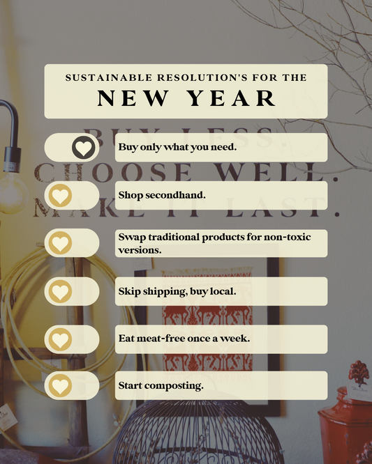 6 Sustainable Resolutions for the New Year from The Shop