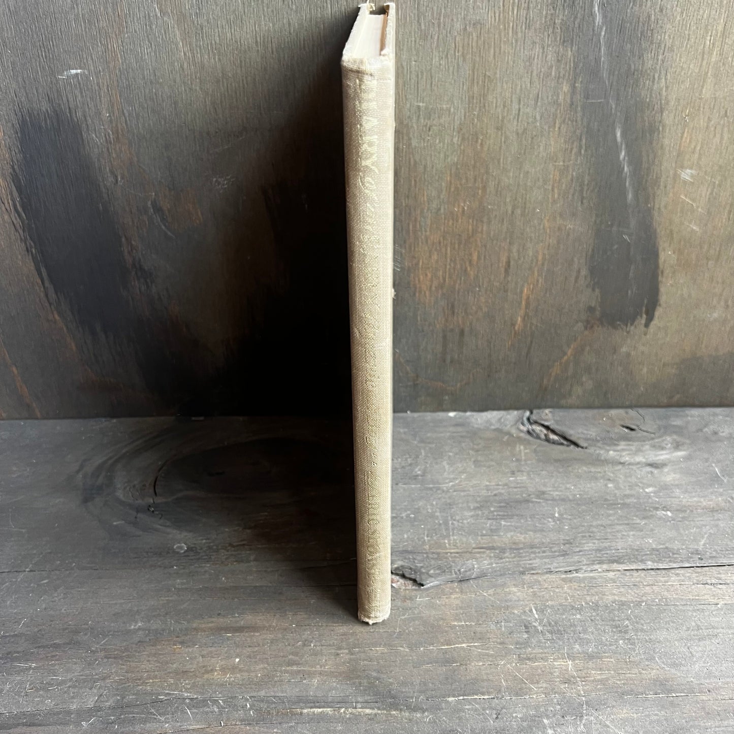 Diary of an Early American Boy Book