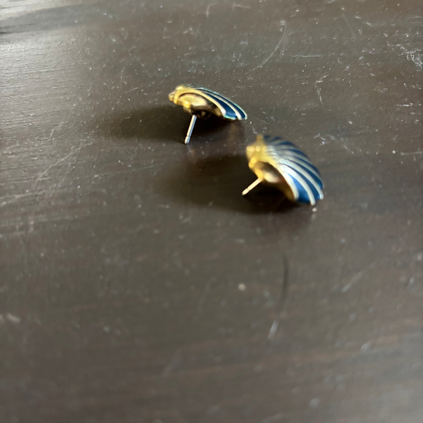 Navy Shell Stud Earrings