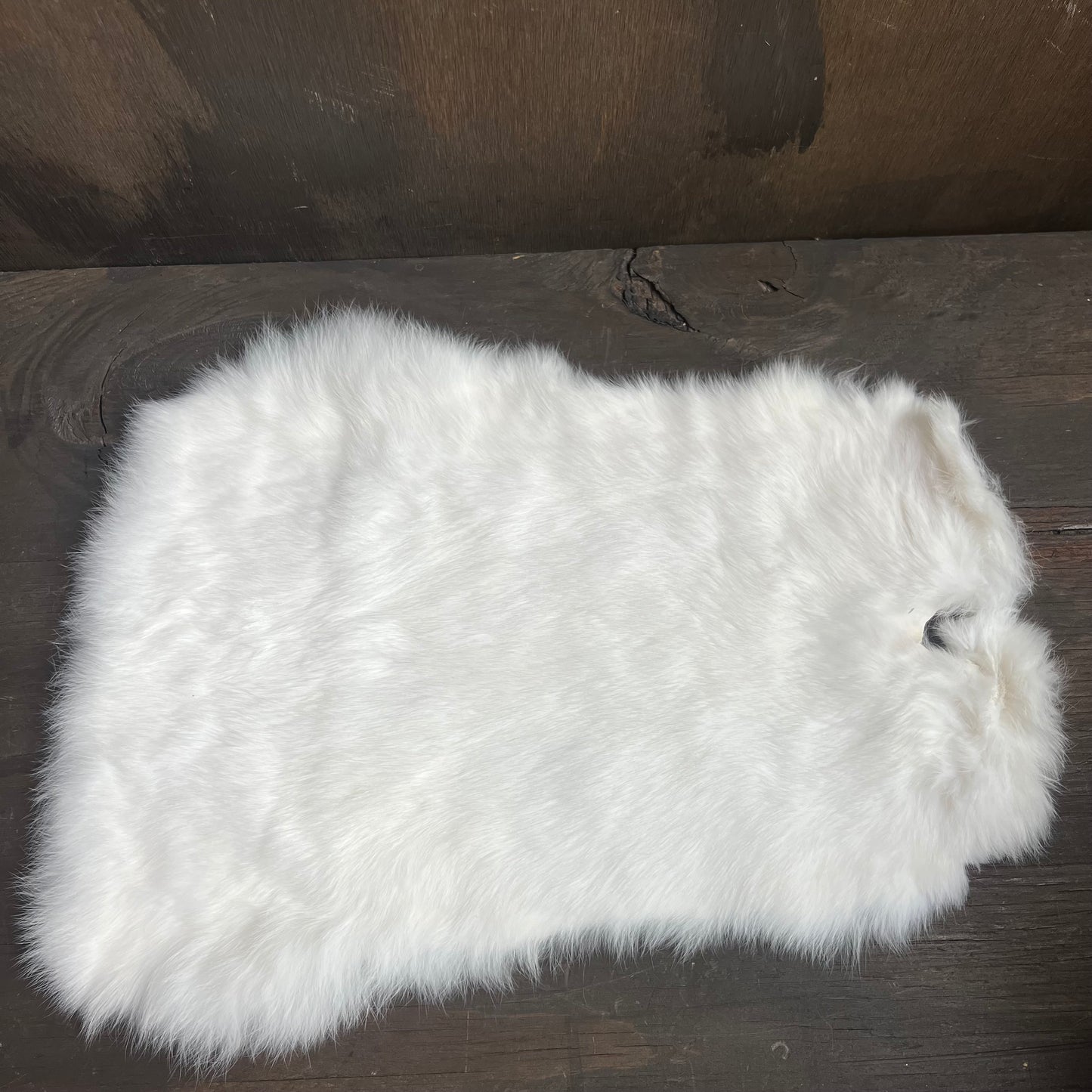 Small White Rabbit Pelt