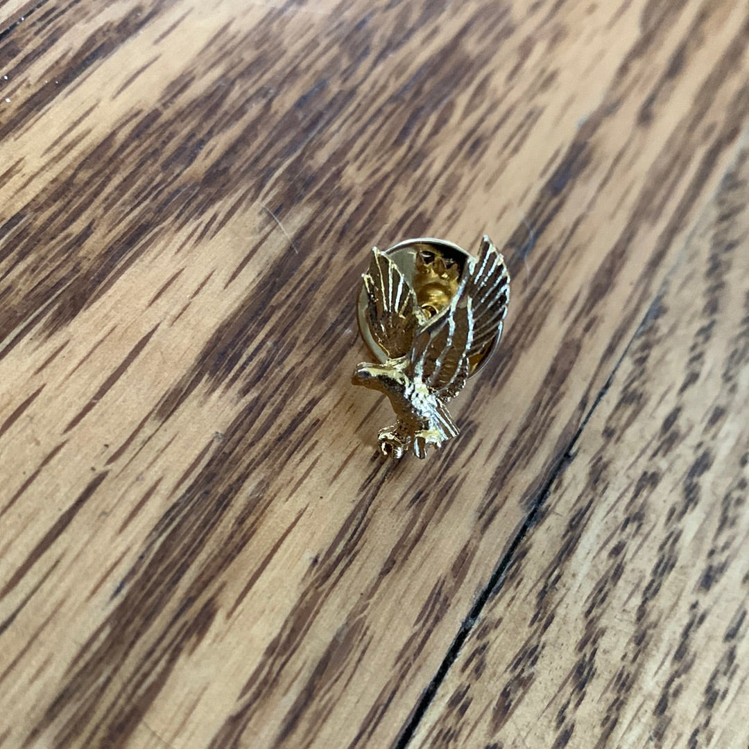 Landing Eagle Pin