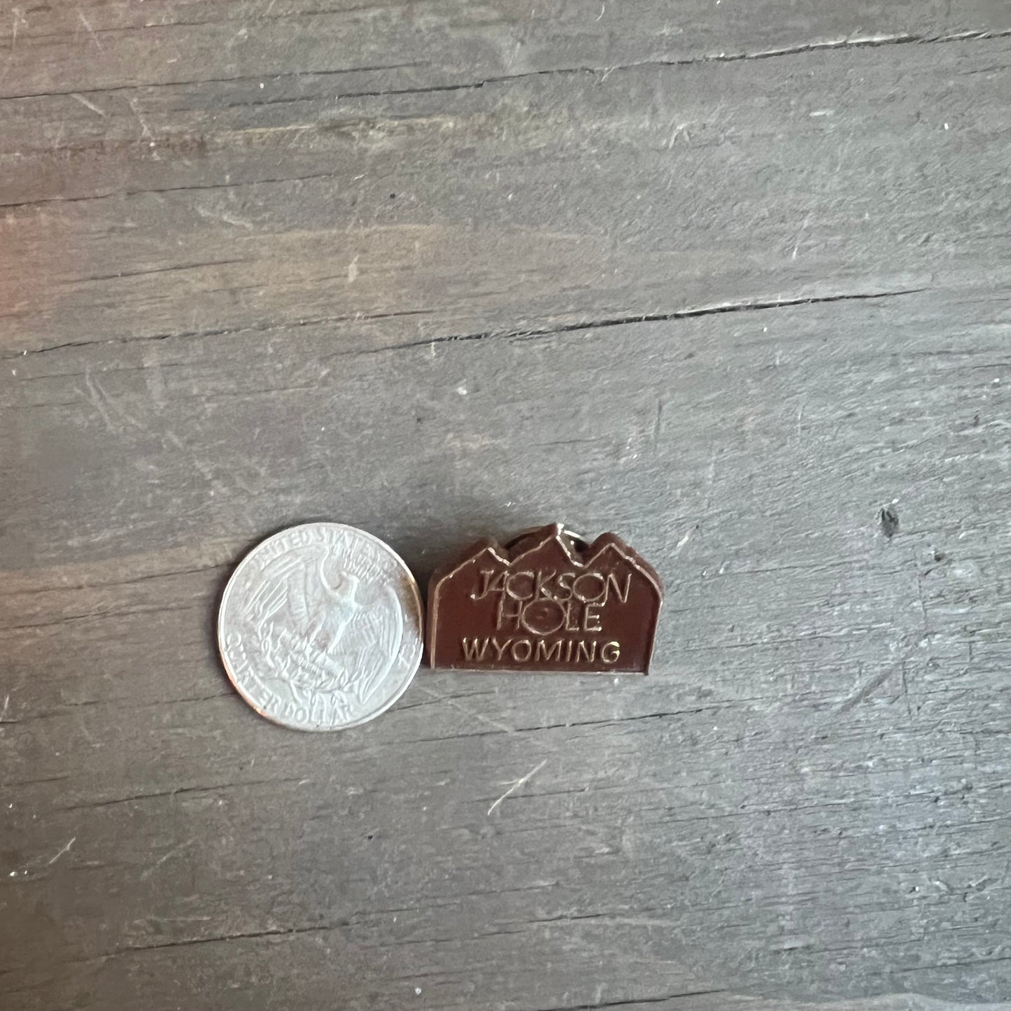 Jackson Hole Pin