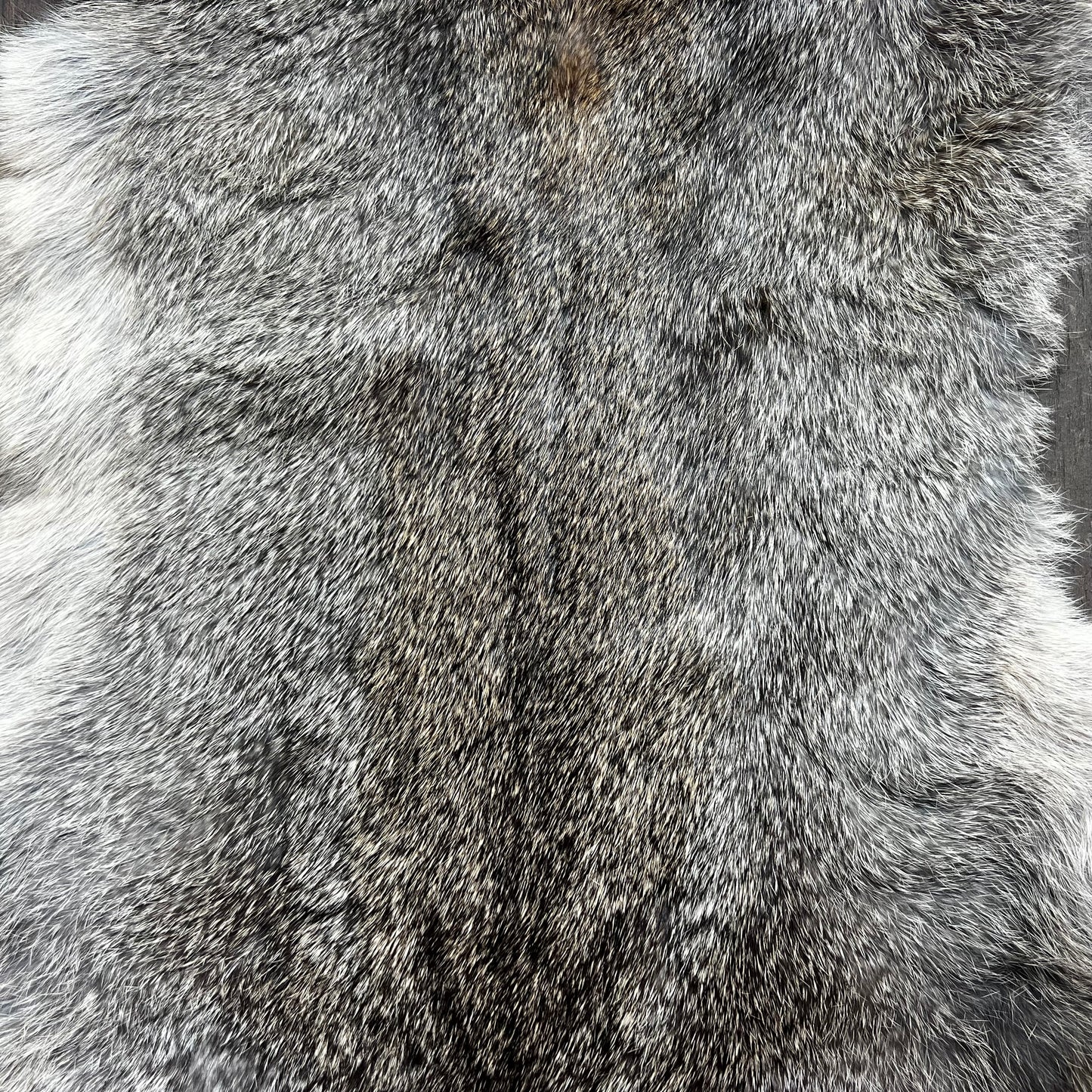 Small Brown Rabbit Pelt