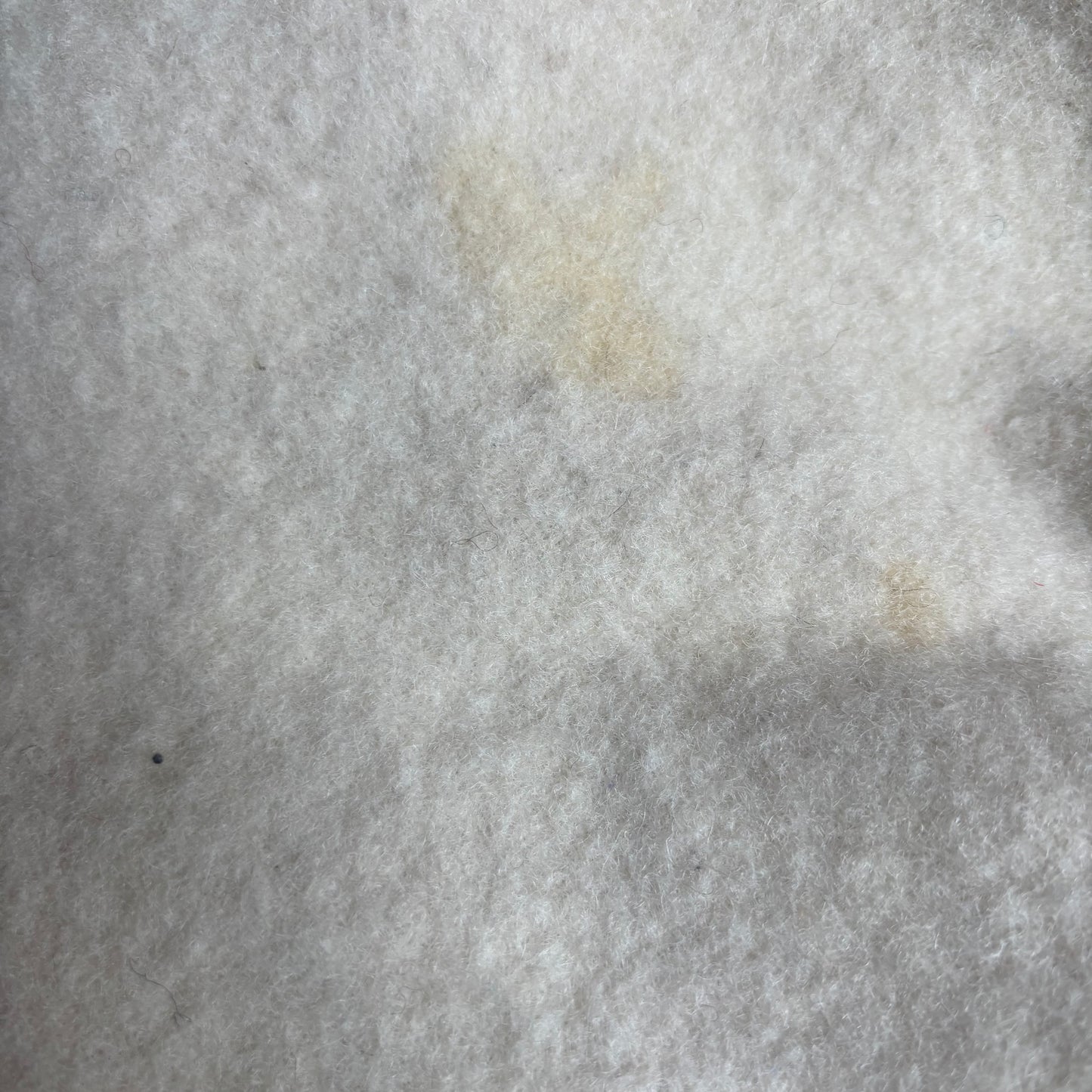 Wool Cream and Blue Blanket