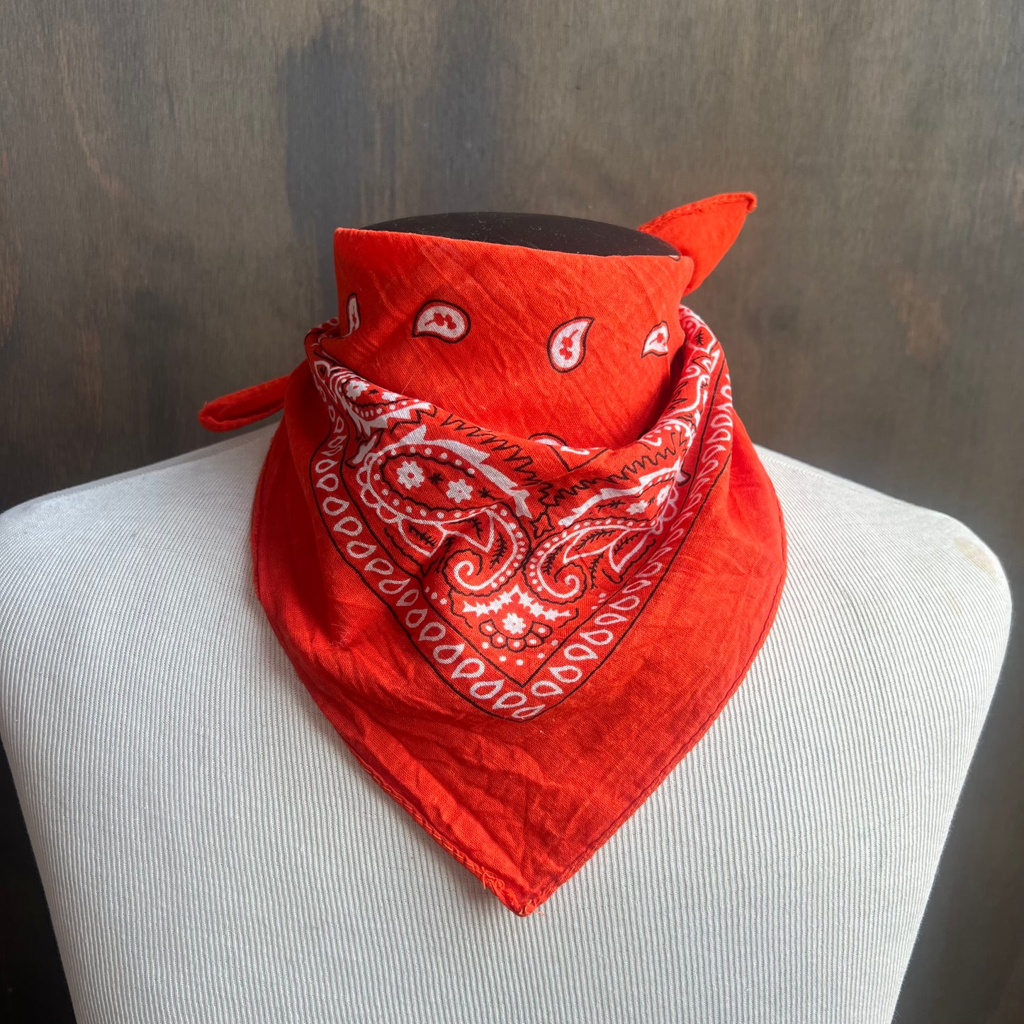 Orange Paisley Bandana