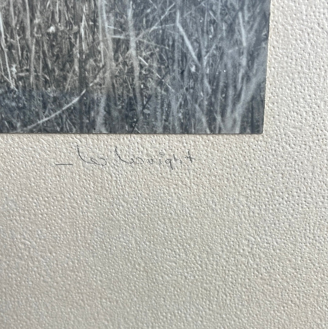 Vintage Cowboy Art Print