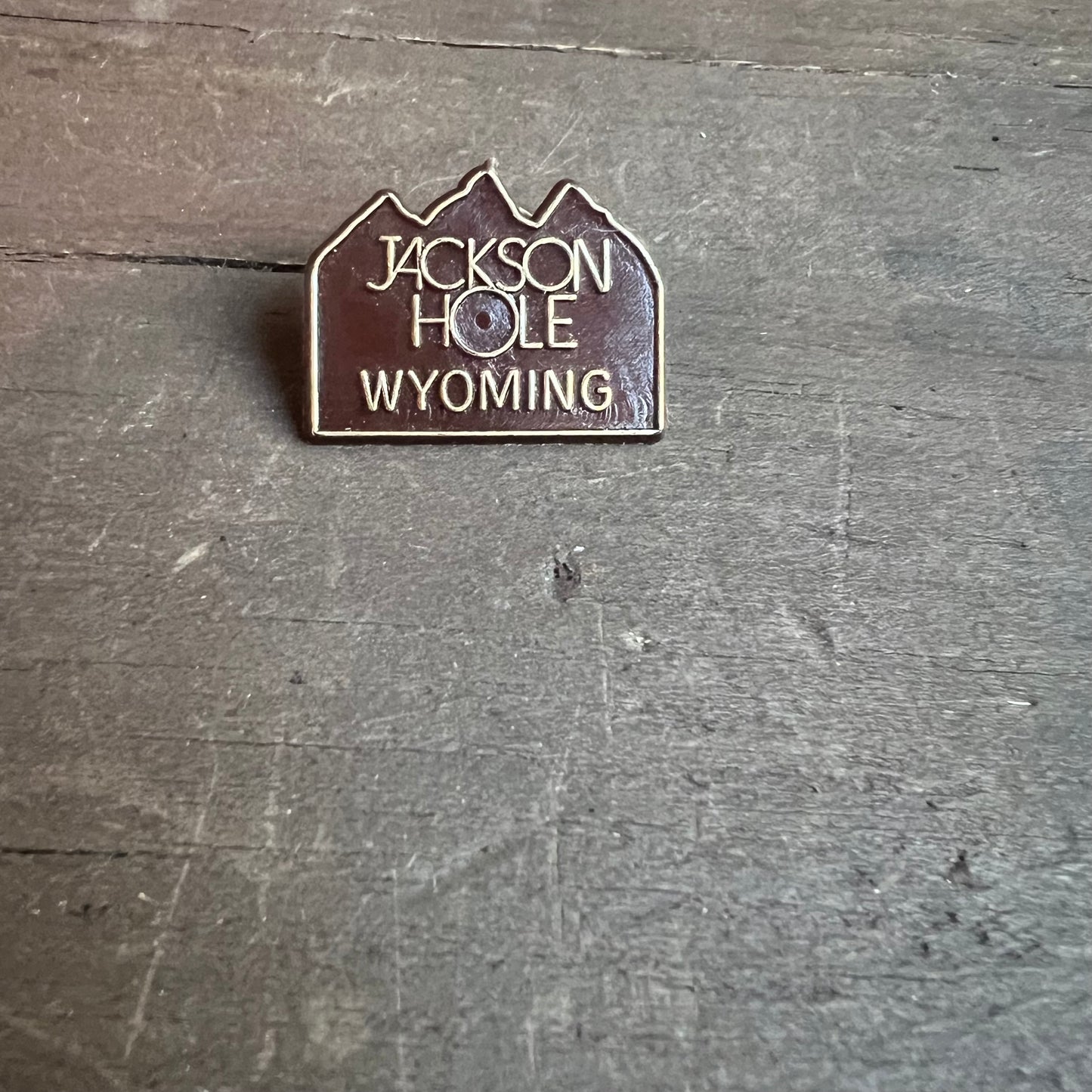 Jackson Hole Pin