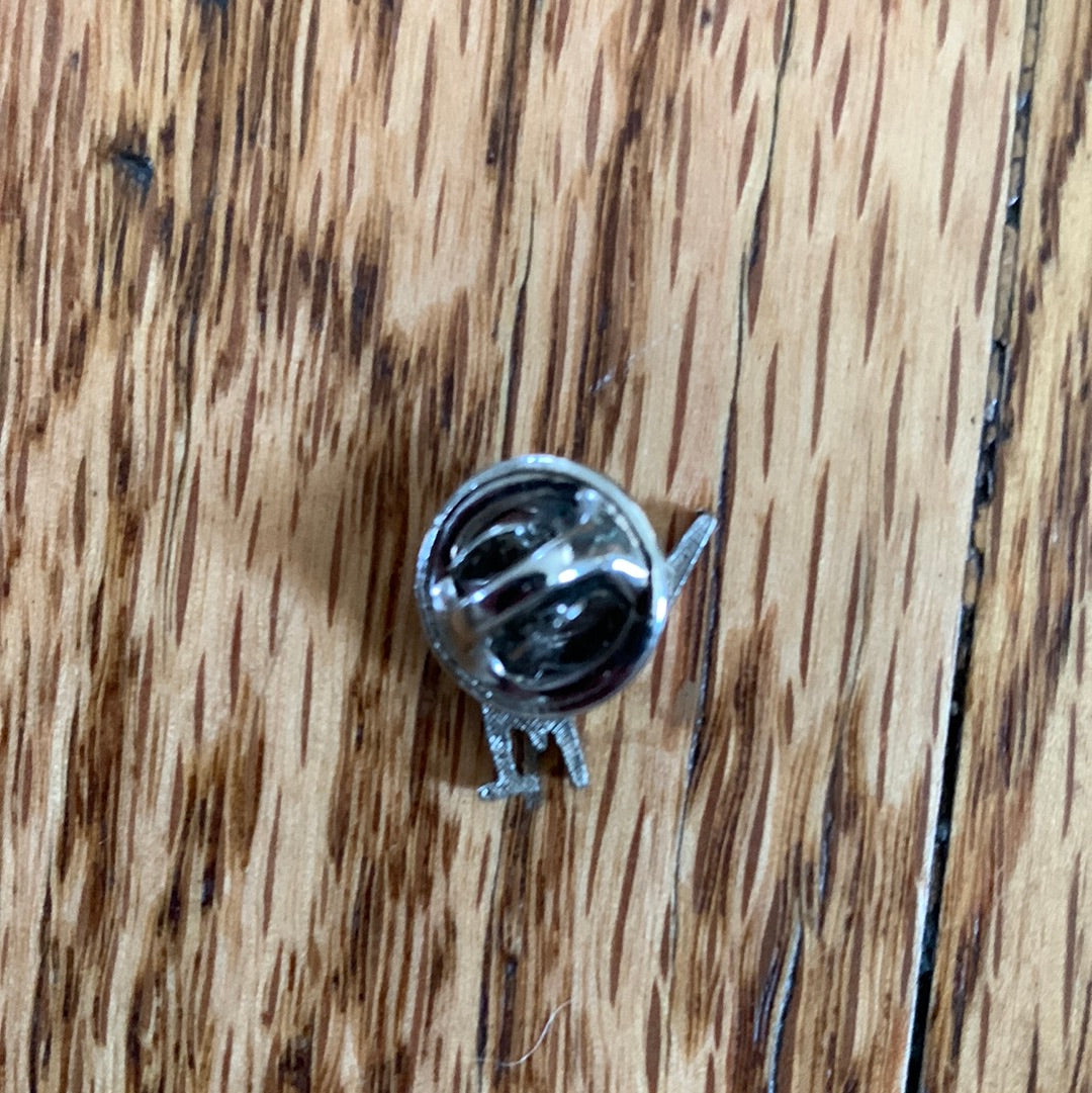 1971 Winter Park Pin