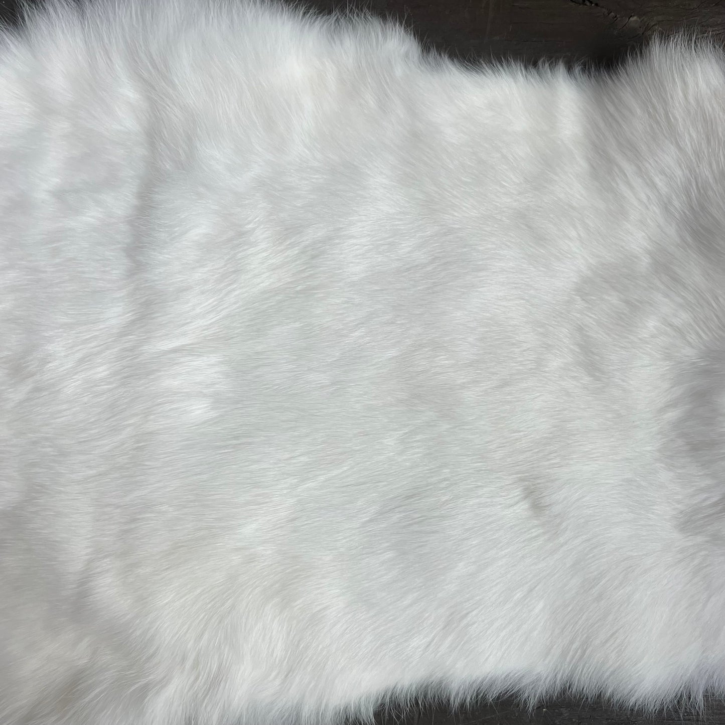 Small White Rabbit Pelt