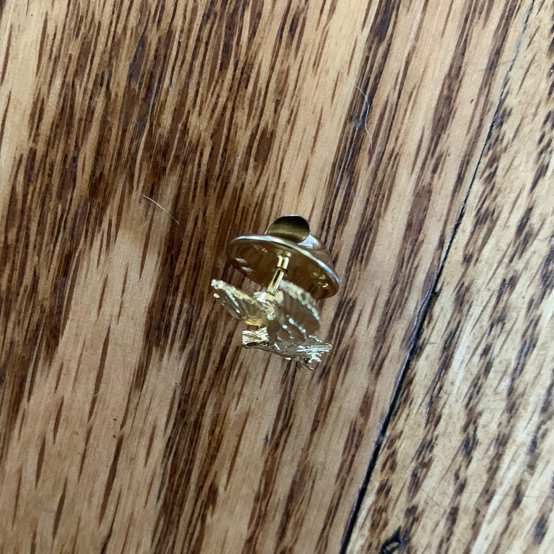 Landing Eagle Pin