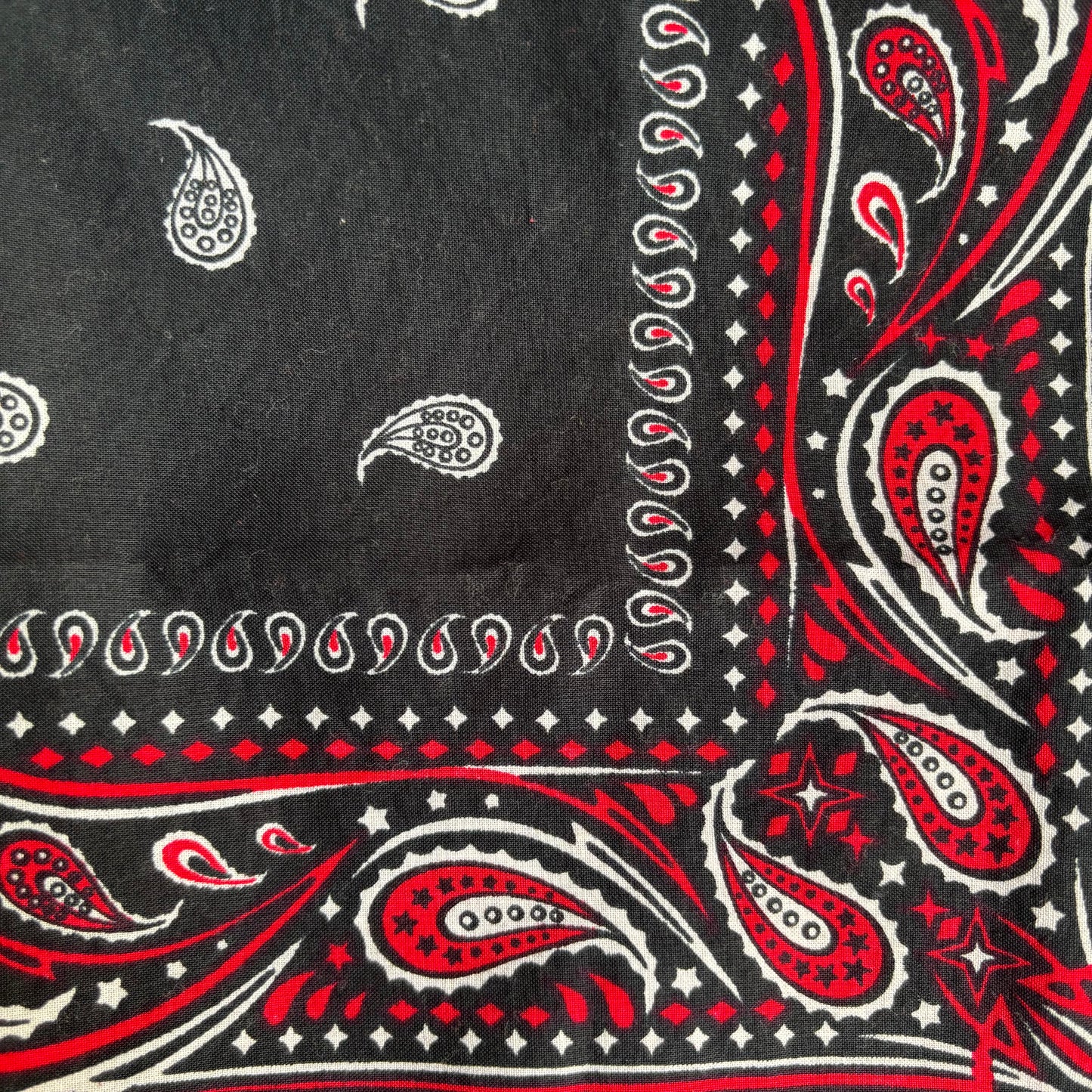Red and Black Paisley Bandana
