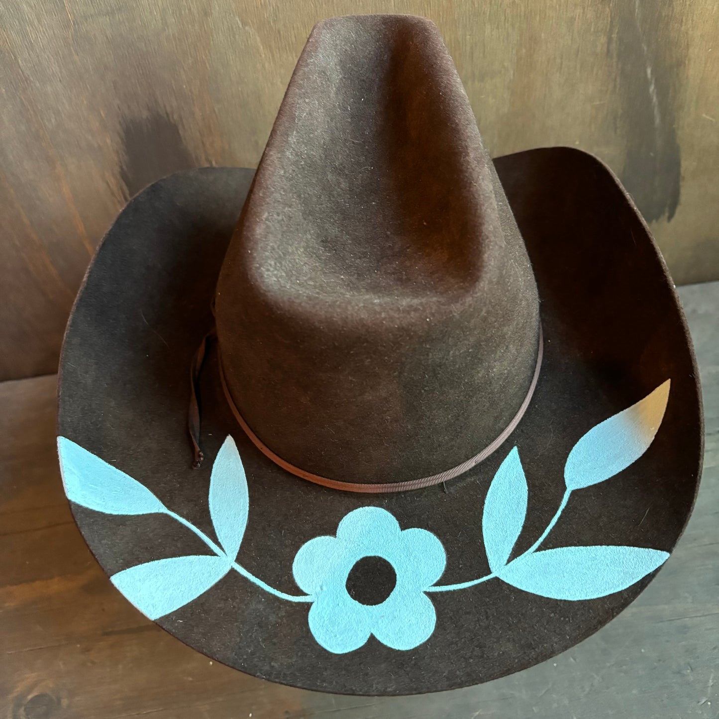 Parrot Paint Brown Resistol 3X Beaver Hat