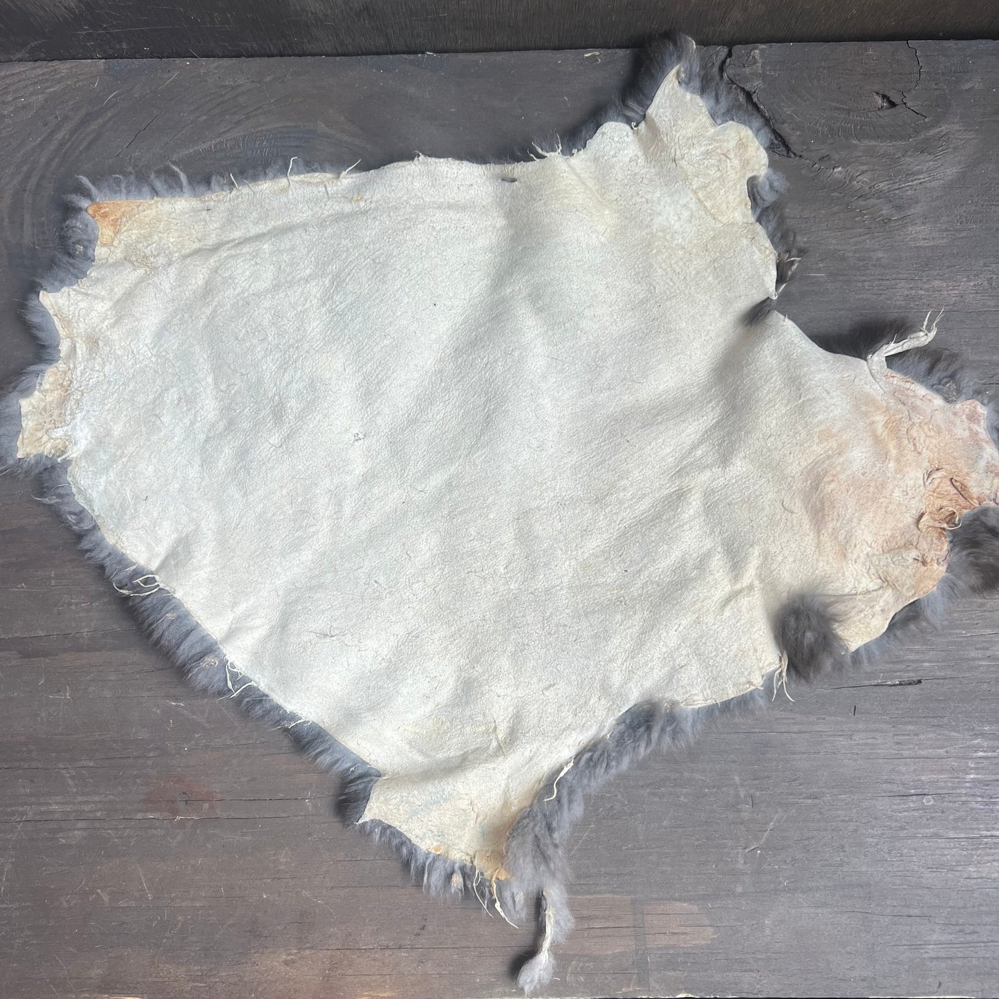 Small Brown Rabbit Pelt