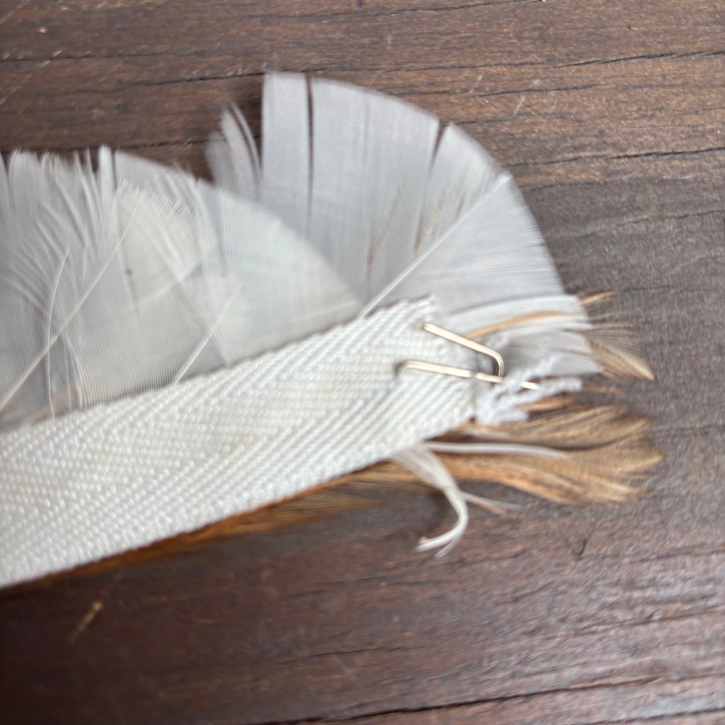 Feather Hat Band