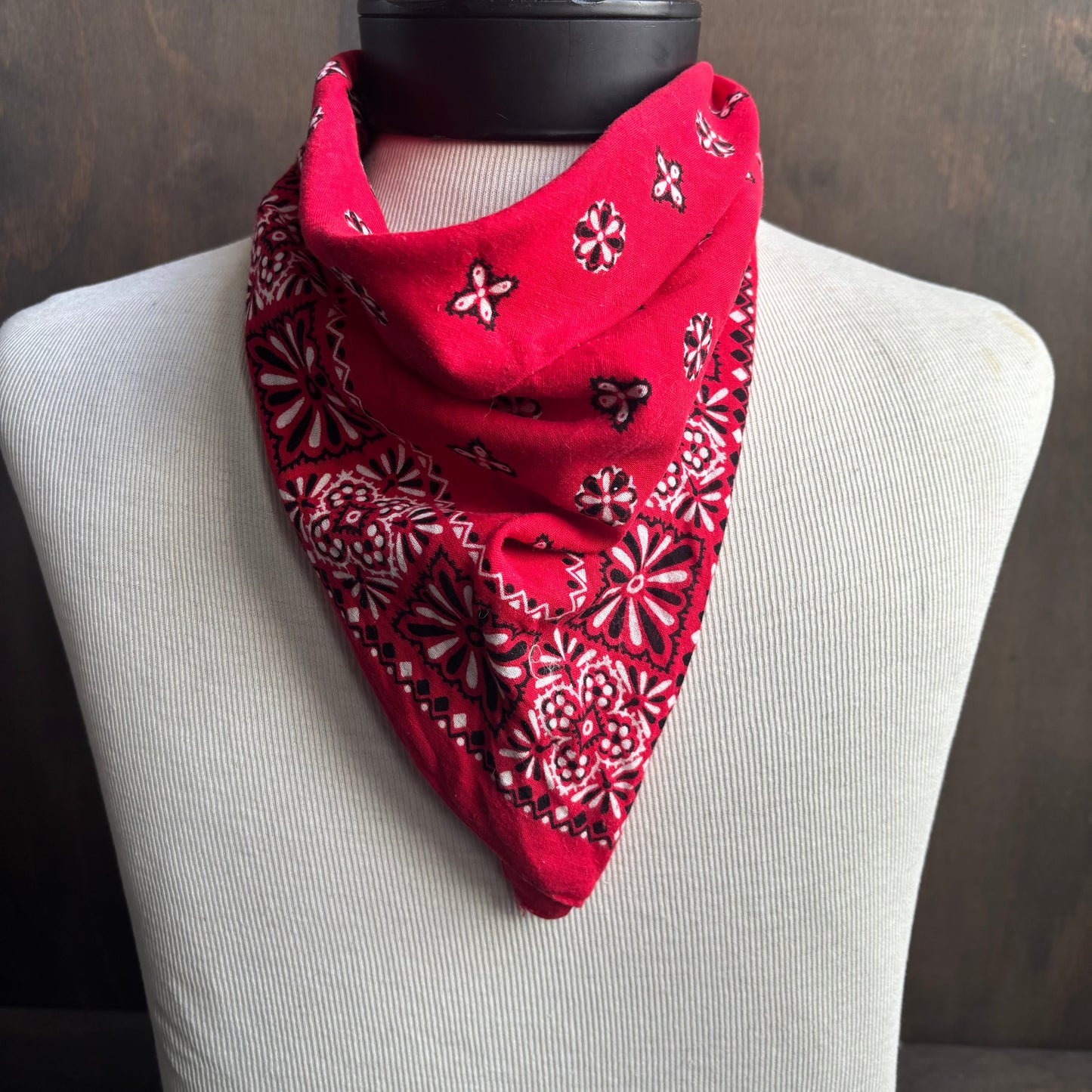 Vintage Red Paisley Bandana