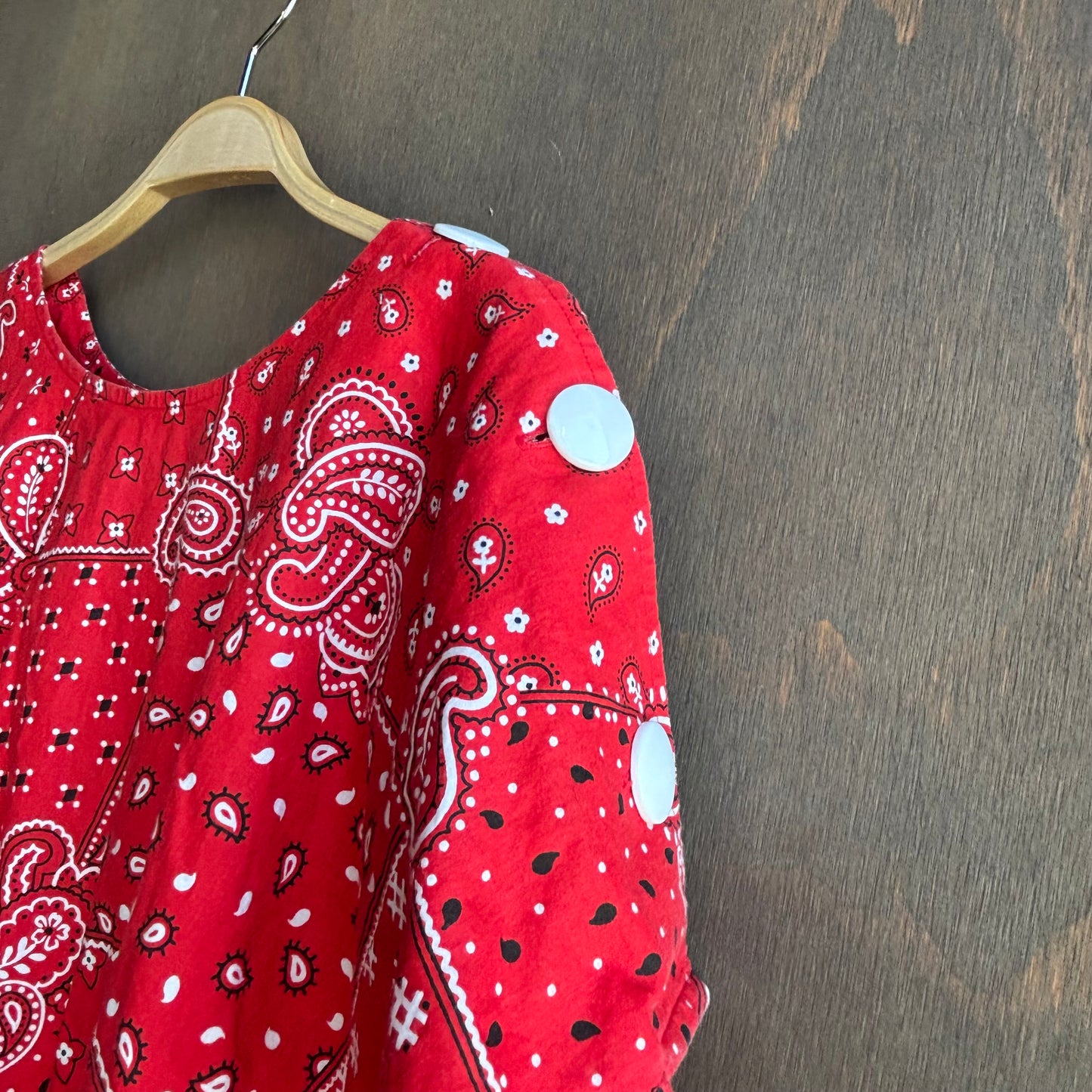 Vintage Red Paisley Dress