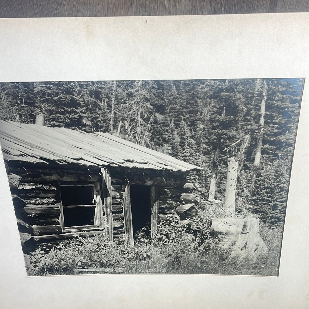 Vintage Log Cabin Art Print