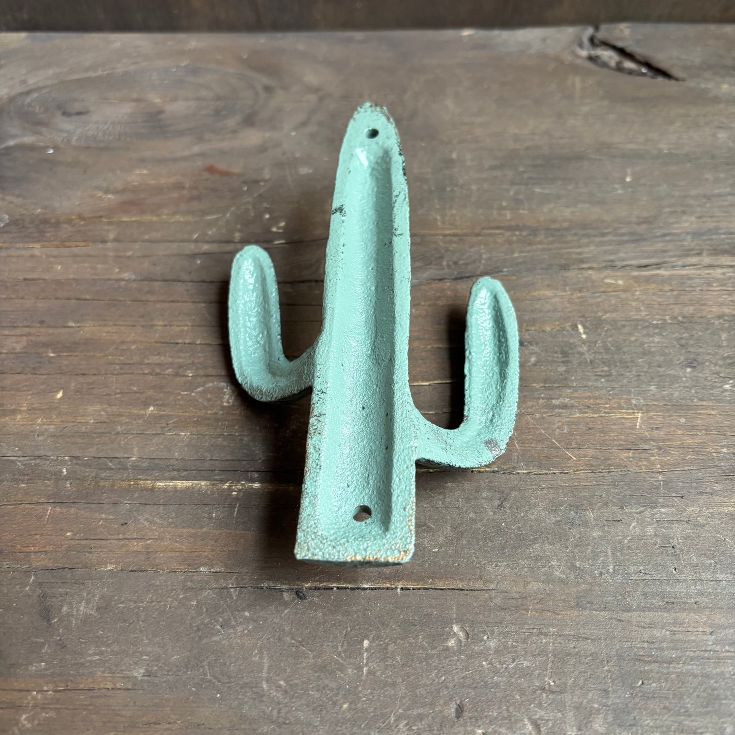 Cast Iron Cactus Wall Hook