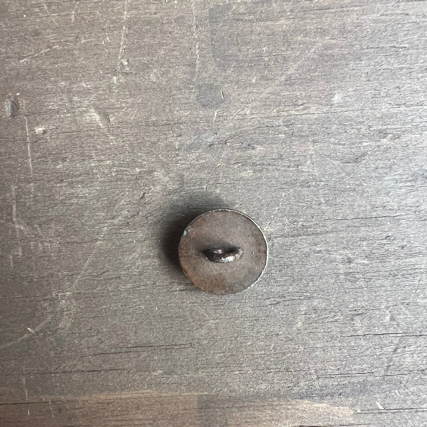 USA 1907 Penny Buttons