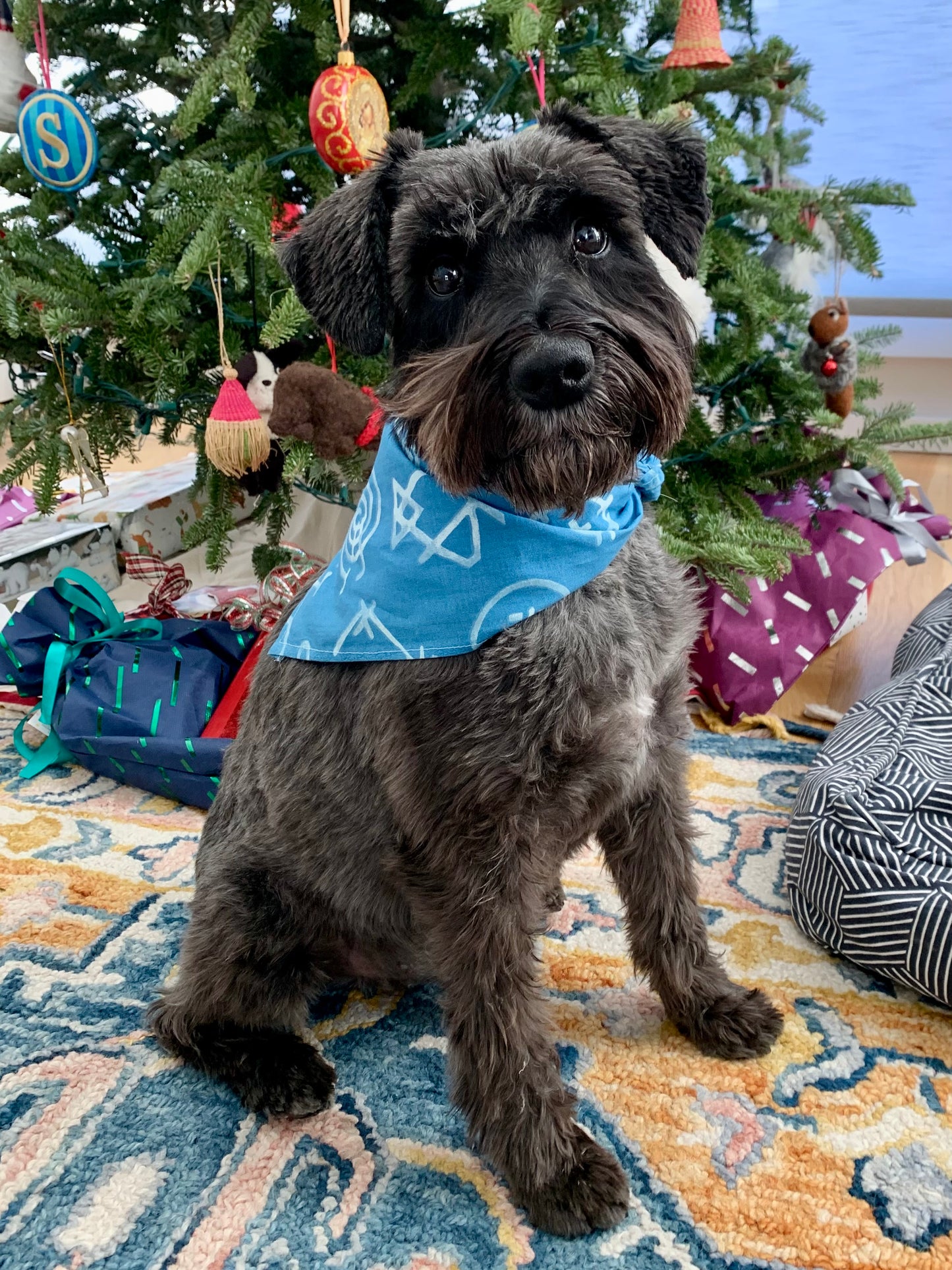 Adjustable dog bandana with tie