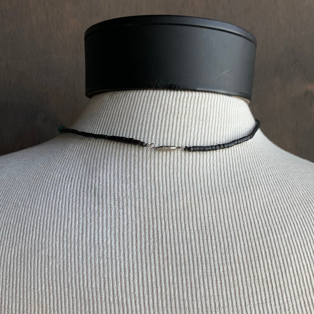 Coyote Tooth and Turquoise Necklace