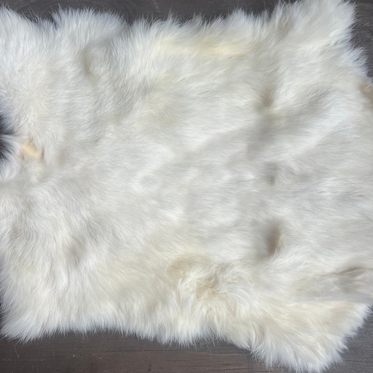 Small White Rabbit Pelt