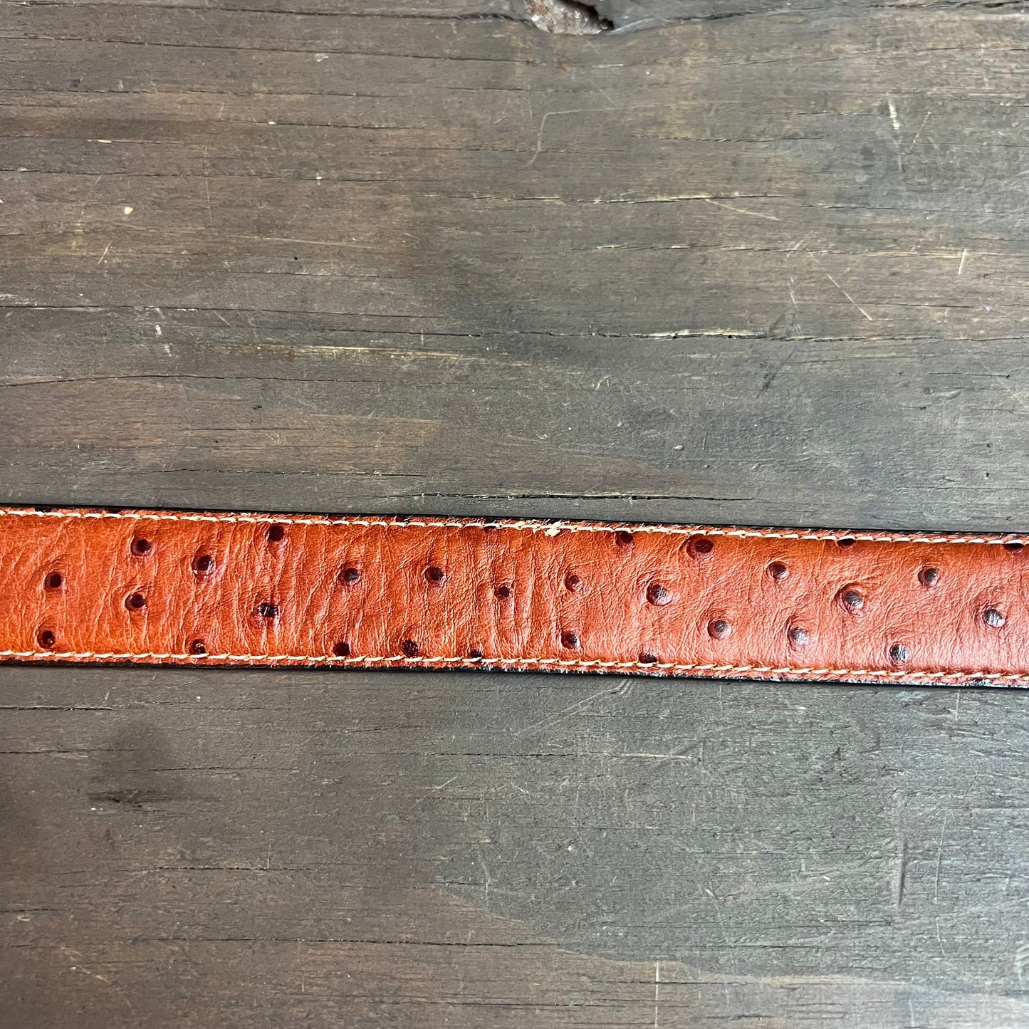 Nocona Faux Ostrich Kids Belt