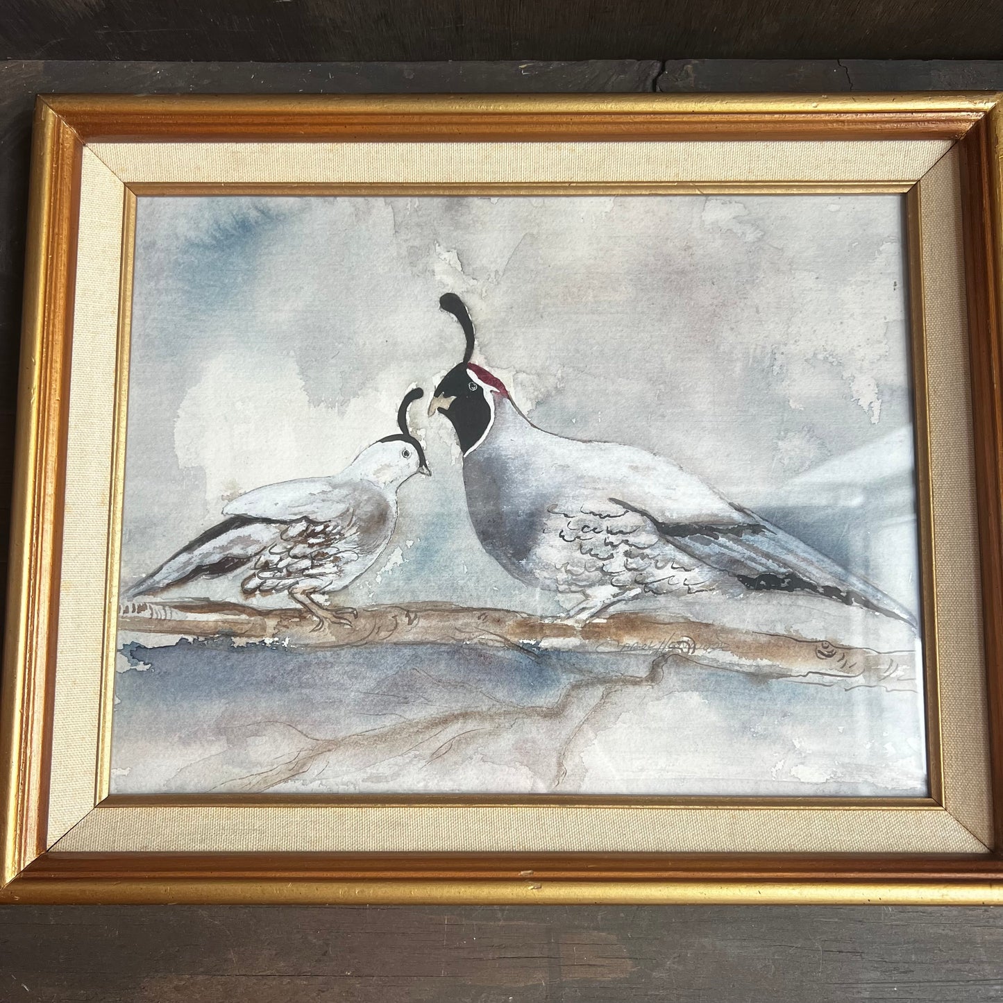 Quail Art Print