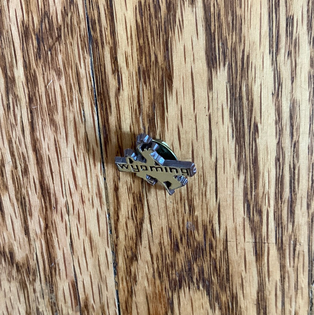 Wyoming Bronco Pin