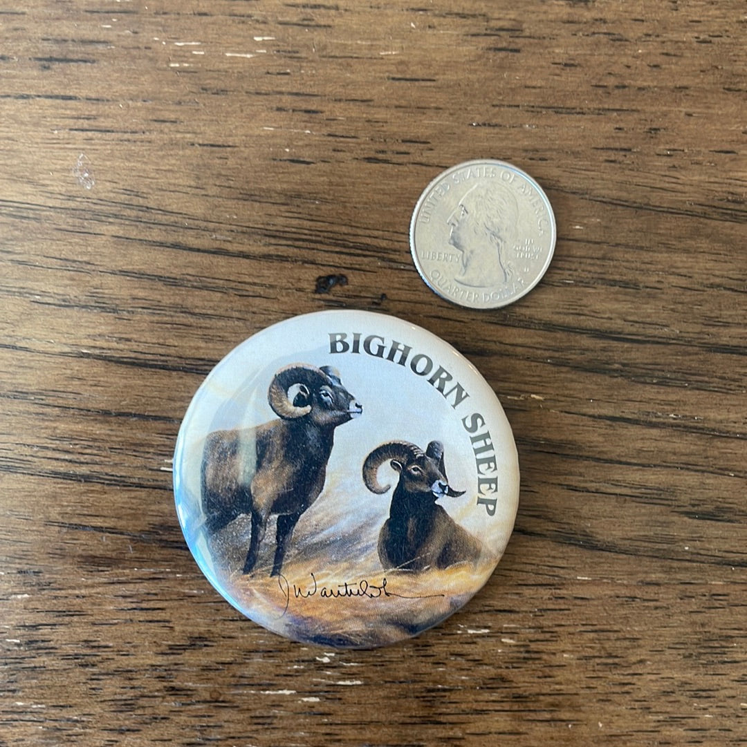 Bighorn Sheep Button Pin