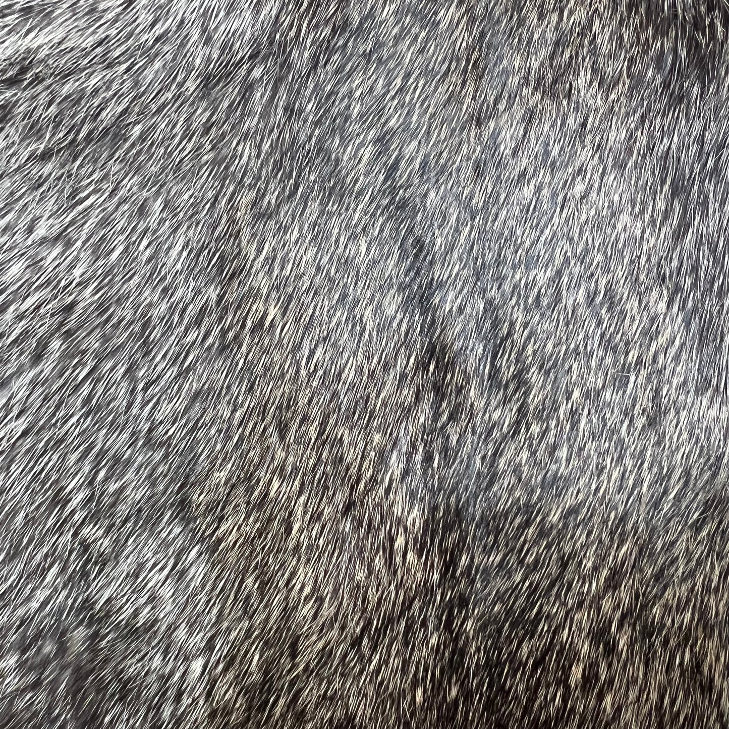 Small Brown Rabbit Pelt