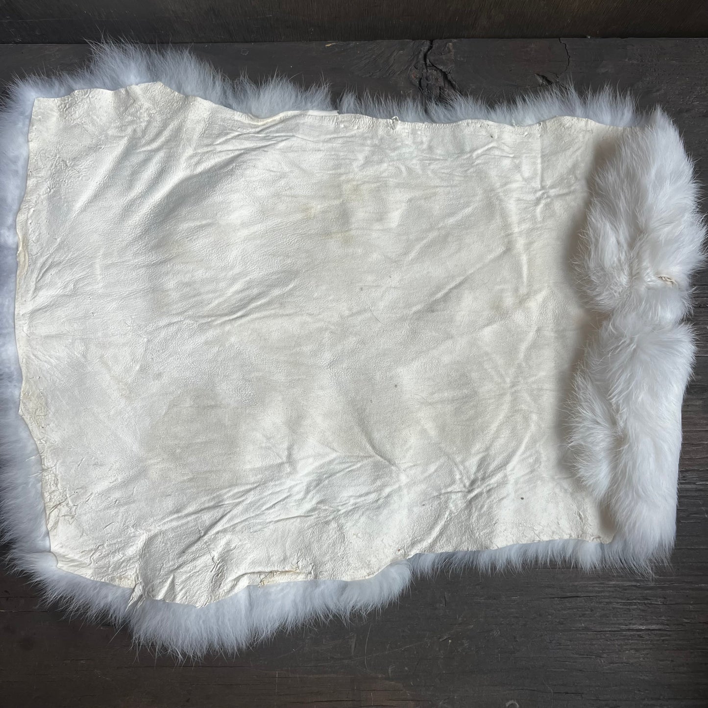 Small White Rabbit Pelt
