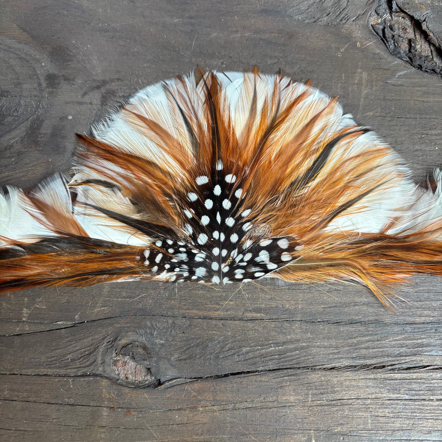 Feather Hat Band
