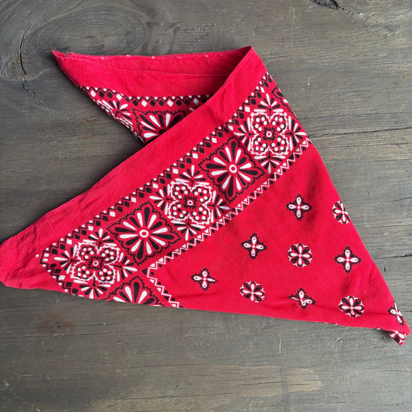 Vintage Red Paisley Bandana
