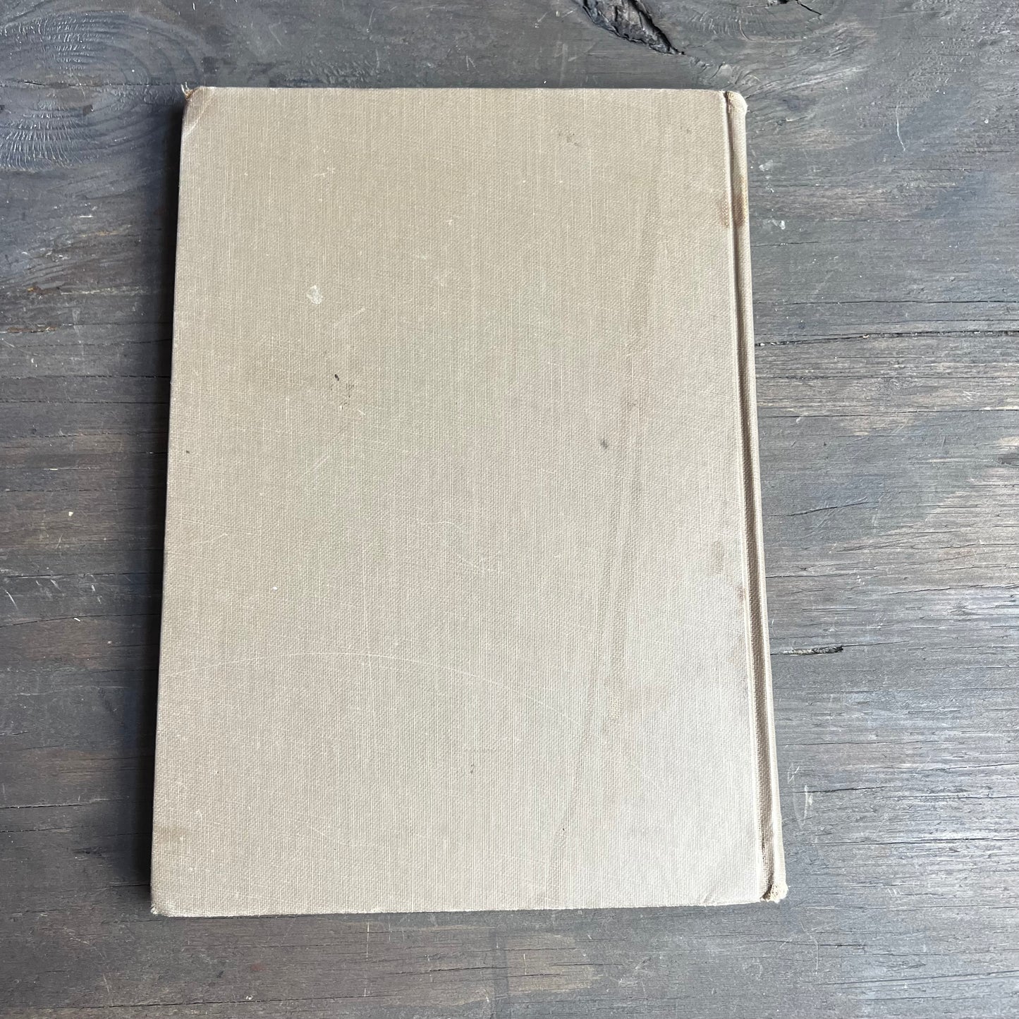 Diary of an Early American Boy Book
