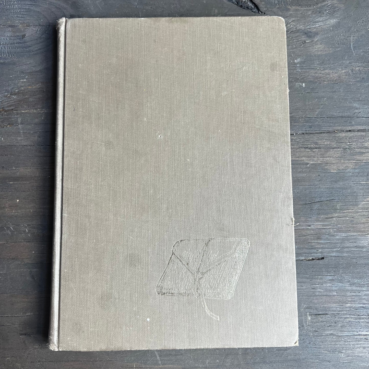 Diary of an Early American Boy Book