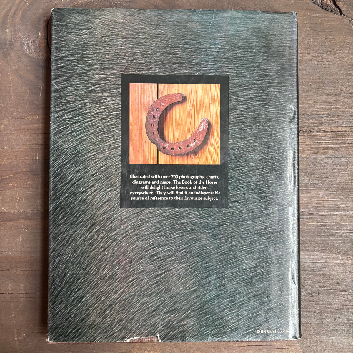 The Book of The Horse