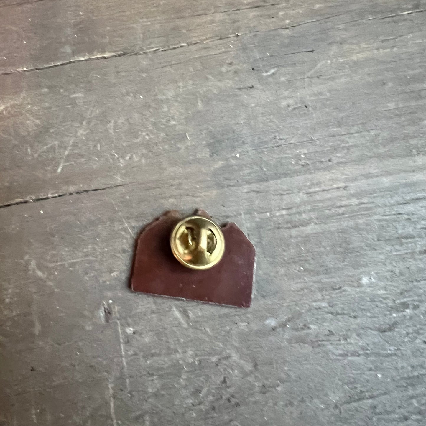 Jackson Hole Pin