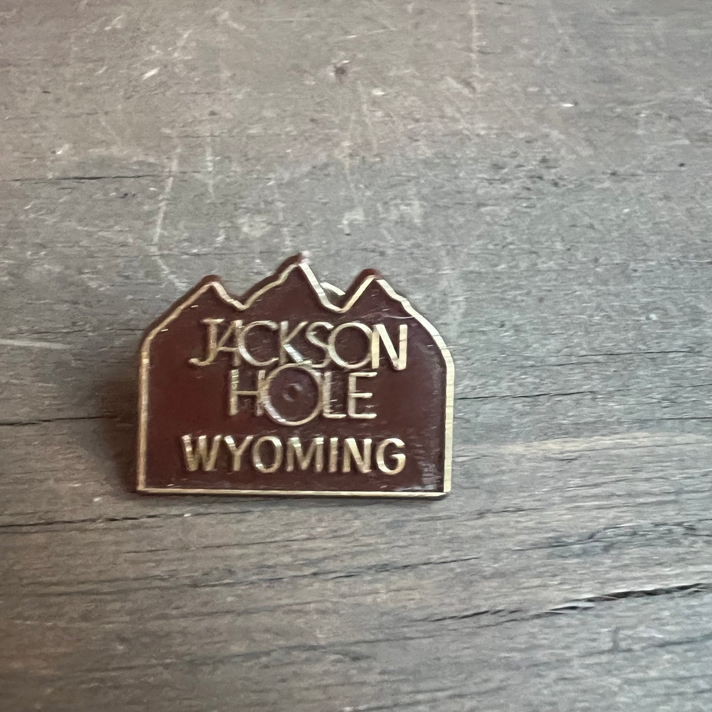 Jackson Hole Pin