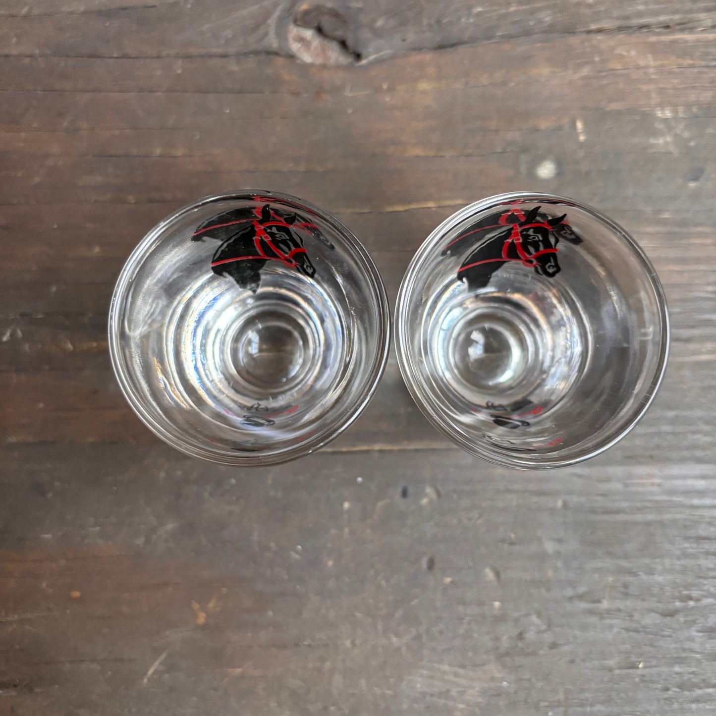Vintage Kentucky Derby Shot Glasses (set of 2)