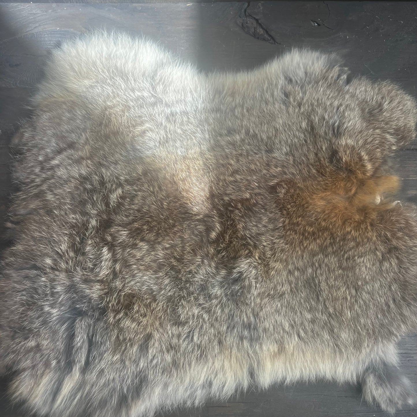 Brown Rabbit Pelt
