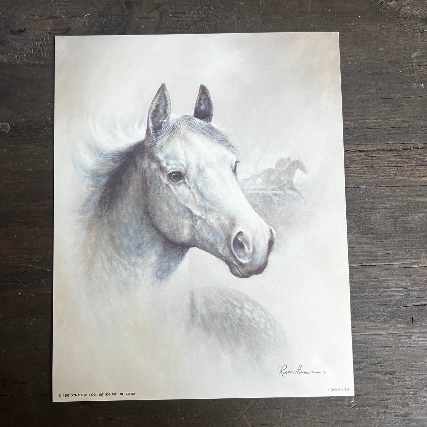 Ruane Manning White Horse Art Print