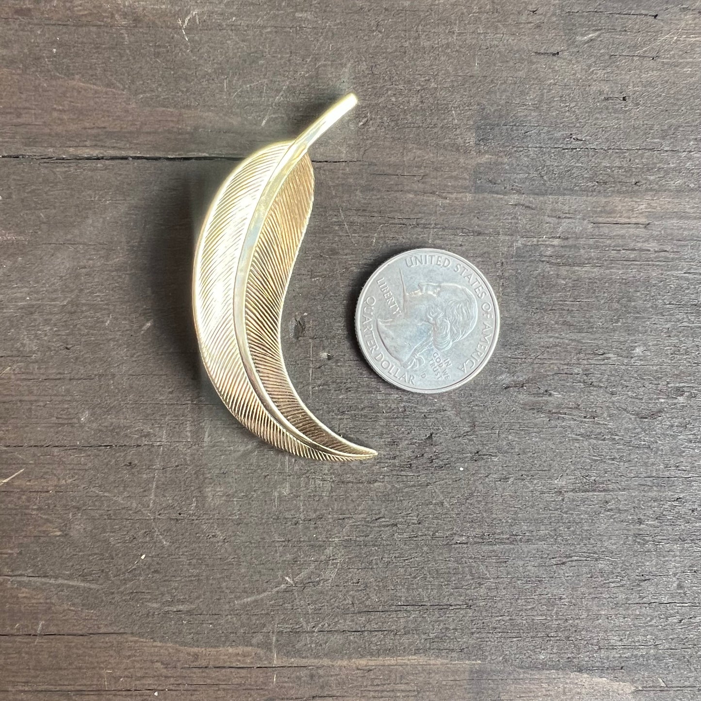 Gold Tone Feather Brooch