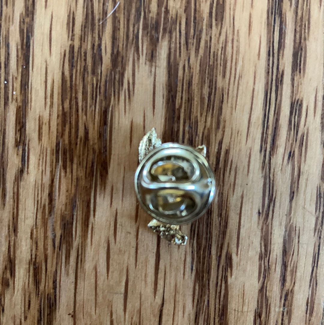 Landing Eagle Pin