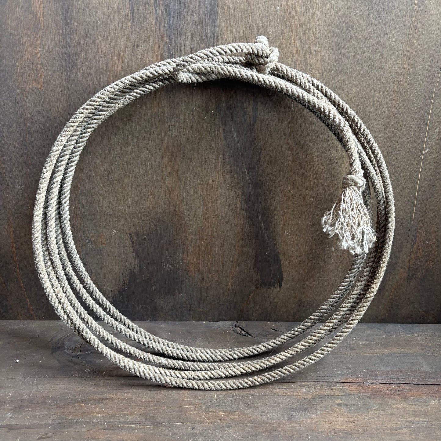 Vintage Lasso