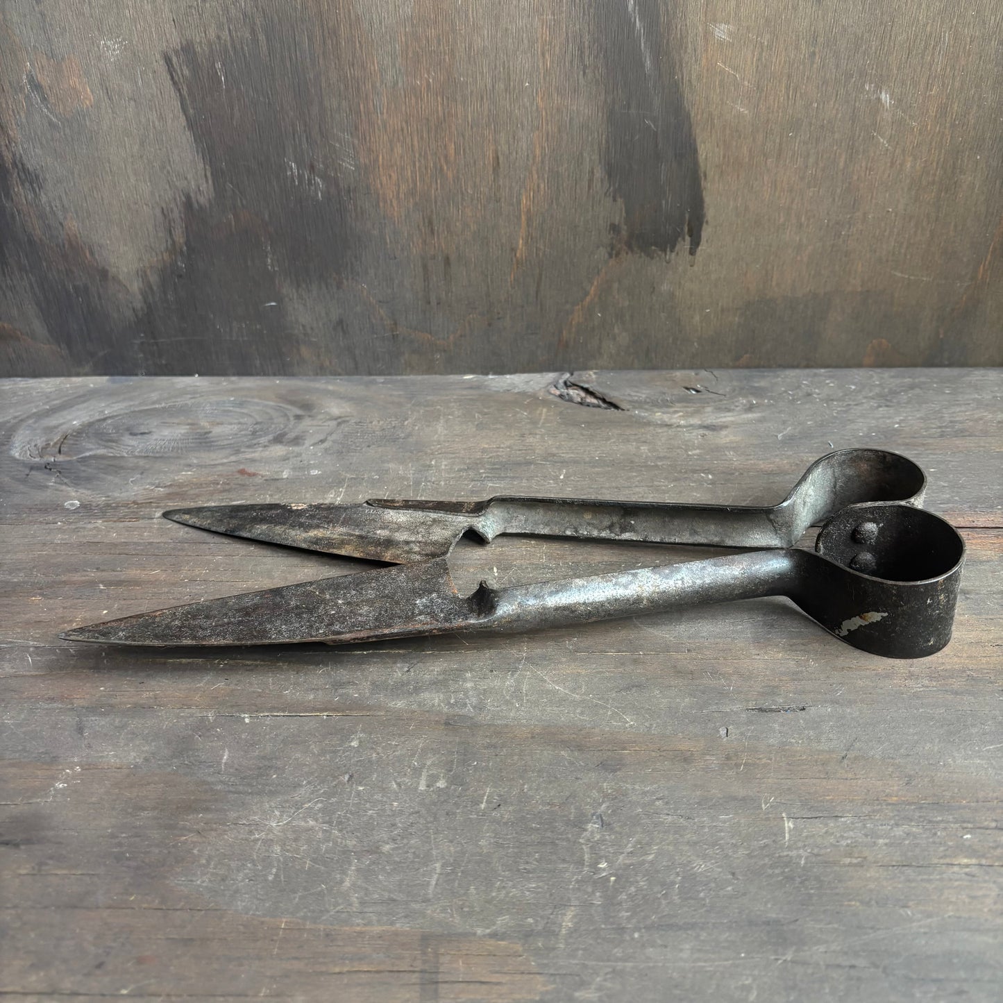 Antique Sheep Sheers