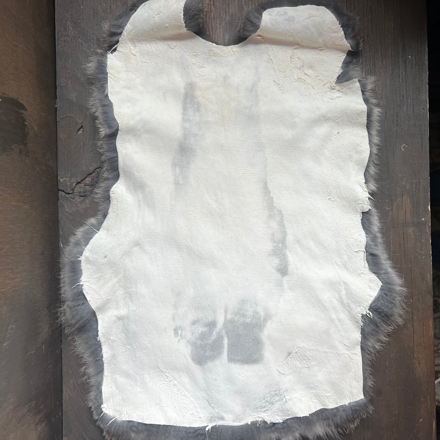 Small Brown Rabbit Pelt