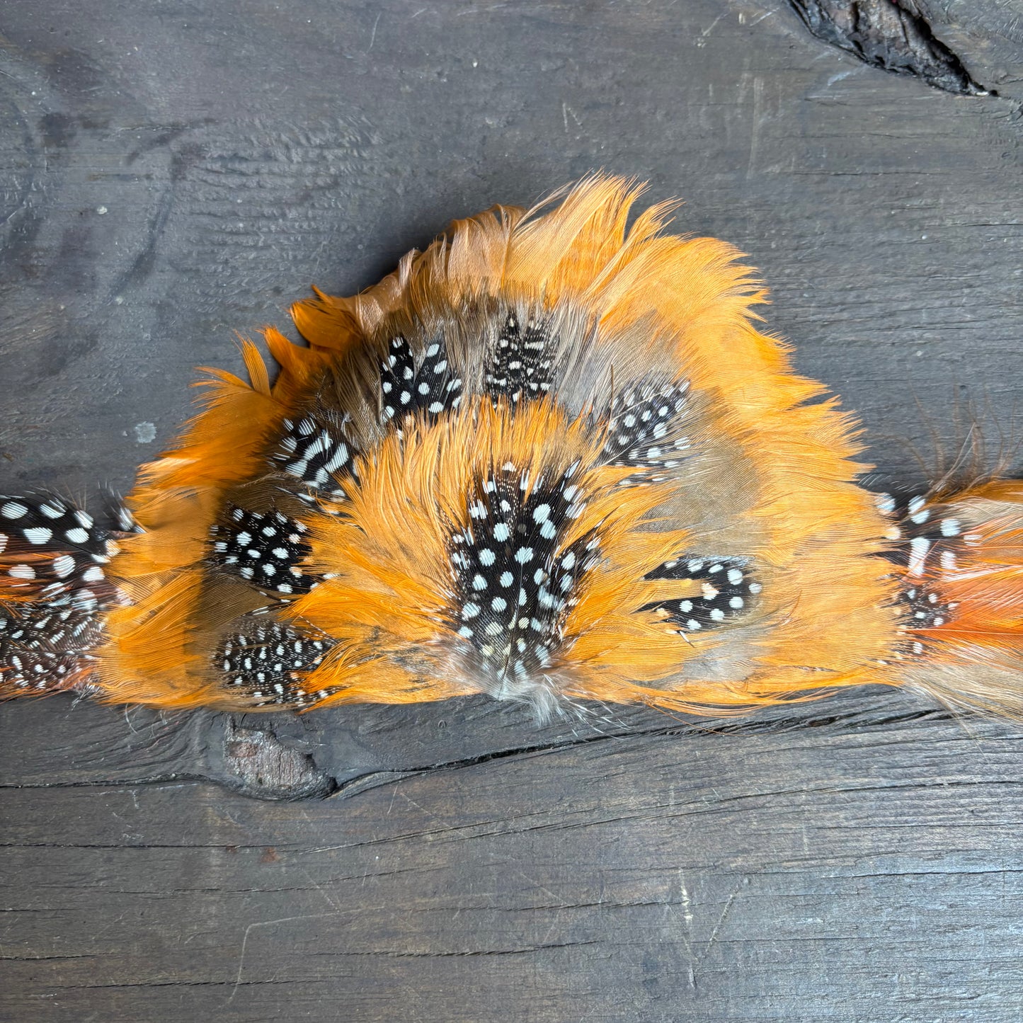 Feather Hat Band