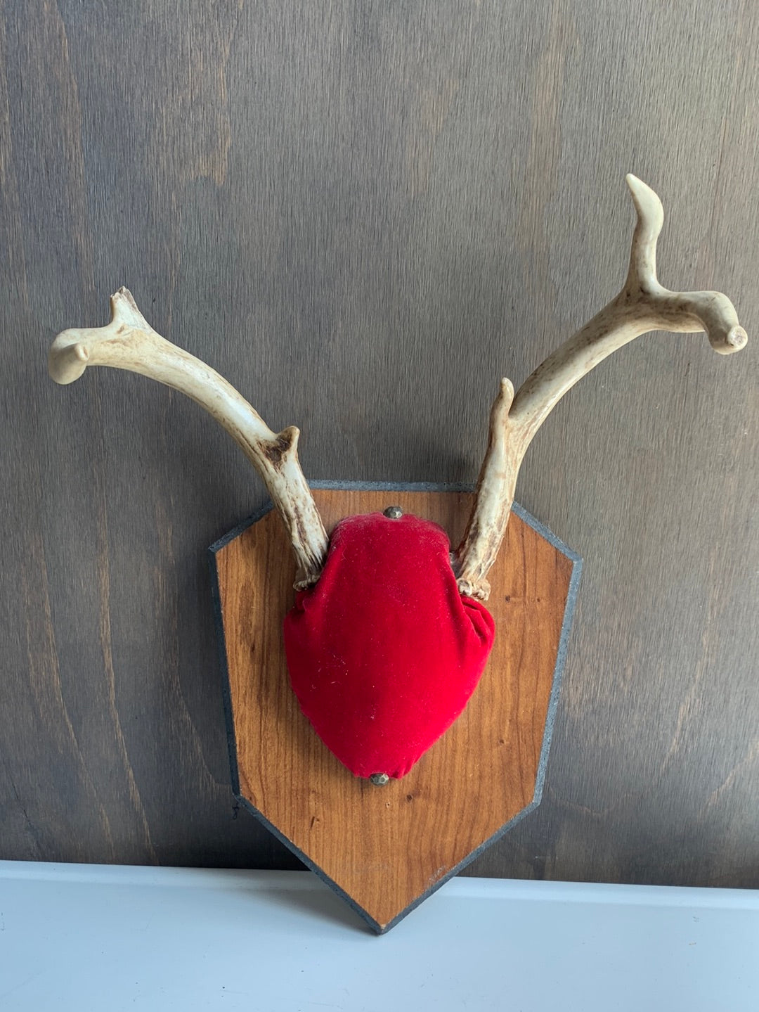 Mounted antlers