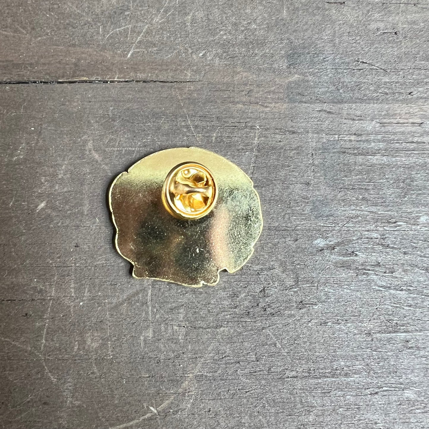 Cheyenne Frontier Days Pin
